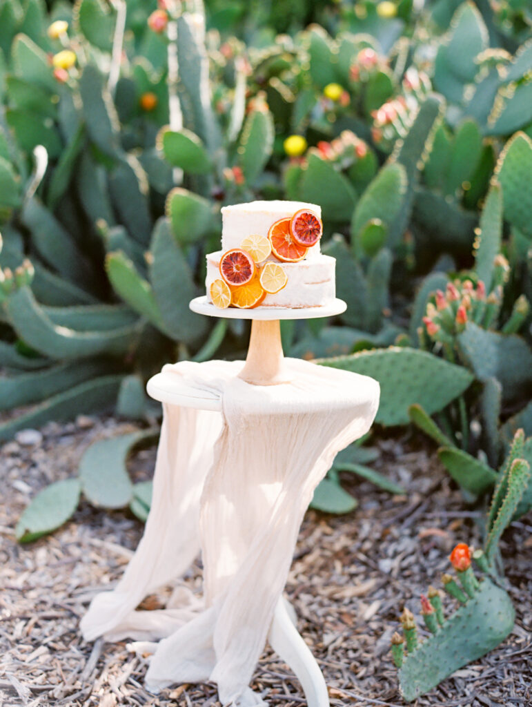 Dried Citrus Naked Cake by WB Event Planning